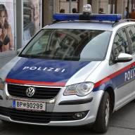 Венские полицейские смогли помочь родиться малышке, которая появилась на свет в автомобиле